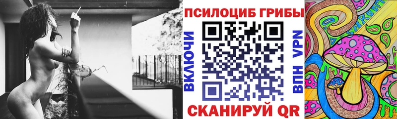 kraken как зайти  Тосно  Псилоцибиновые грибы Psilocybe 