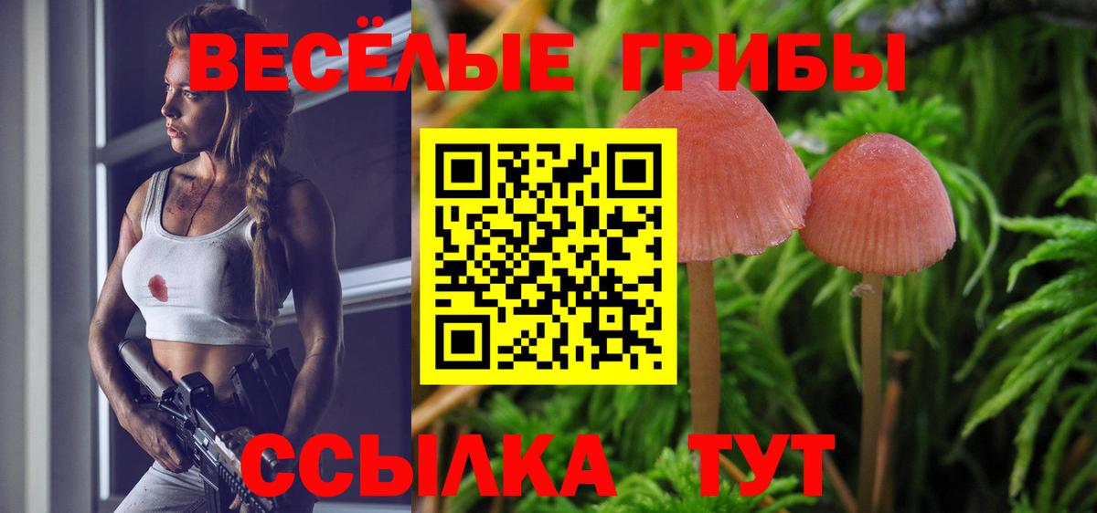 Тосно  Псилоцибиновые грибы прущие грибы  Вход с VPN  Галлюциногенные грибы Cubensis 